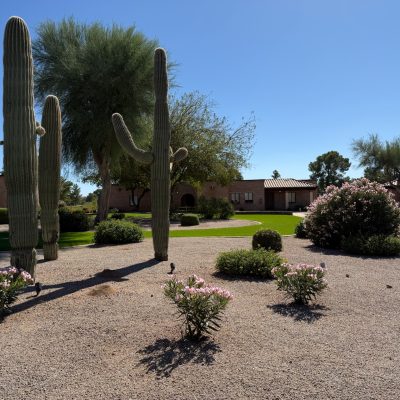 Stunning desert scenery at Omni Resort Tucson